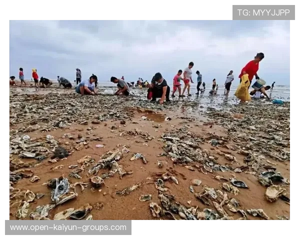 惠州海滩台风后现“海鲜盛宴”